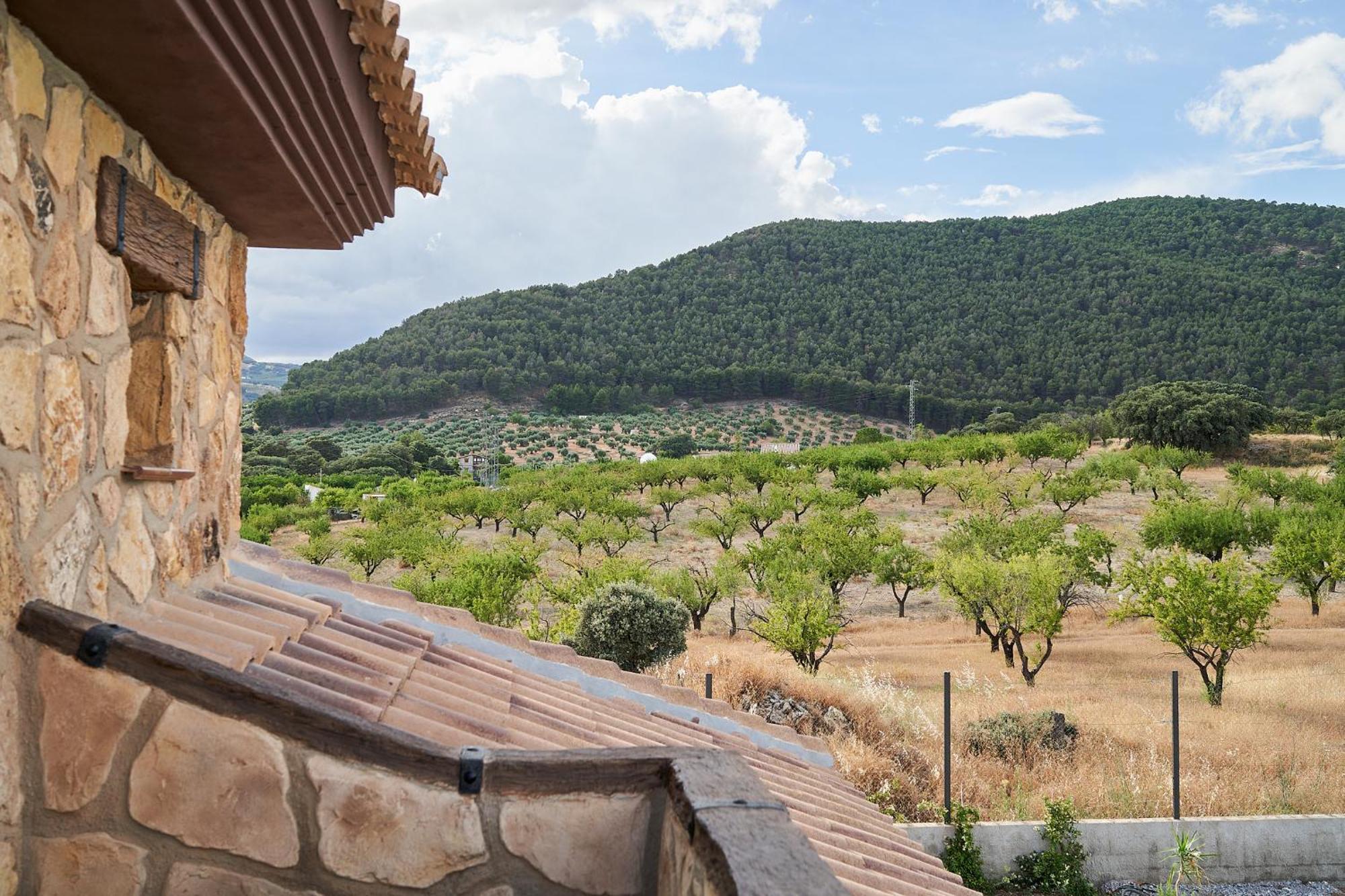 Villa Canela Illora Kültér fotó